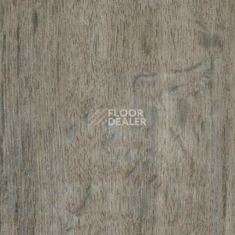 Кварцвиниловые полы Forbo Effekta Professional 0.45 4102 P Dusty Harvest Oak PRO фото 1 | FLOORDEALER